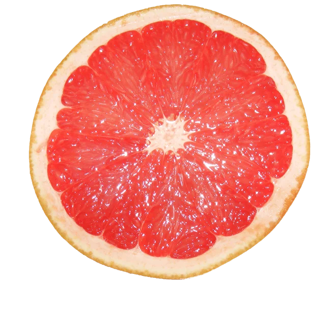 grapefruit products